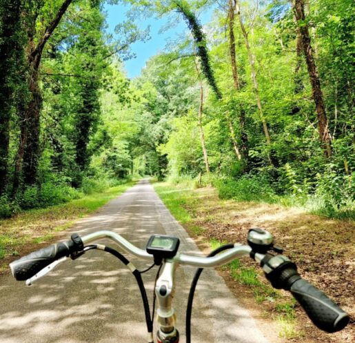 Vélo sur route forestière